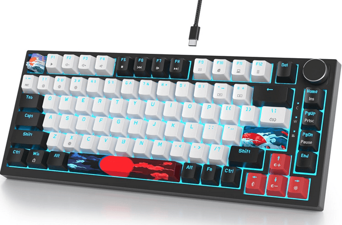 Keyboard Sizes: Guide to Choosing the Right One - 2024