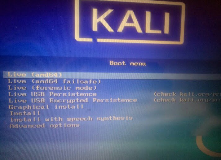 How to live boot Kali Linux from USB with persistence 