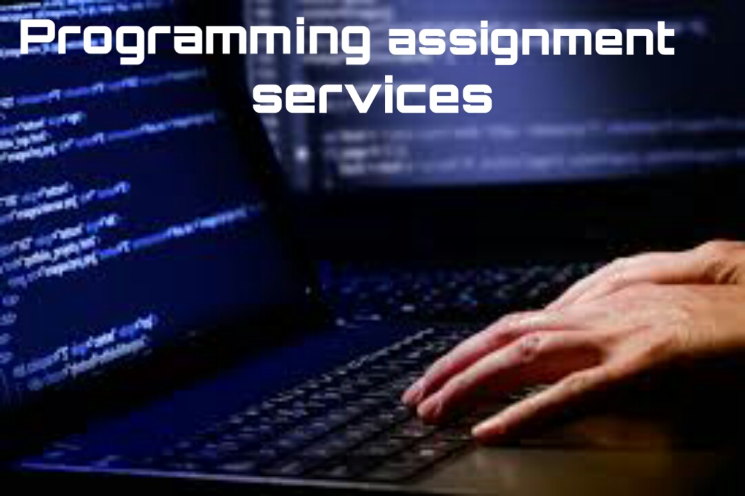 Programming assignment service