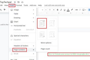 How to Format Your Essay to MLA via Google Docs
