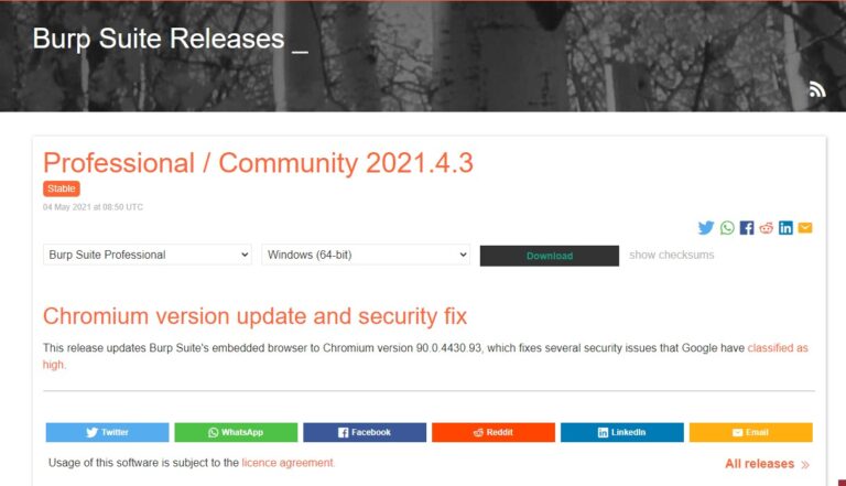 instal the last version for windows Burp Suite Professional 2023.10.2.3